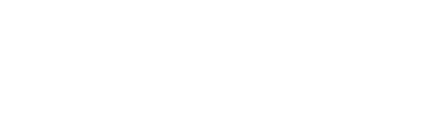 Salah Investmnts LLC